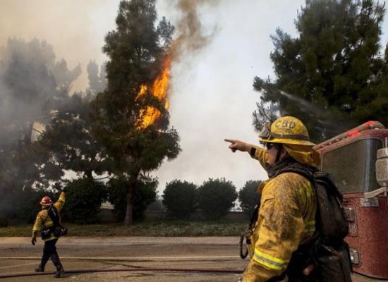 Firefighters battle the so-called Poinsettia Fire in Carlsbad, California May 14, 2014.